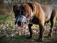 Boerboel Wire Basket Muzzle with Padding▧