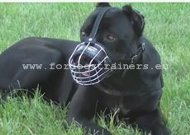 Wire Basket Dog Muzzle for Cane Corso
