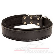 Leather Dog Collar with Skin Protection!