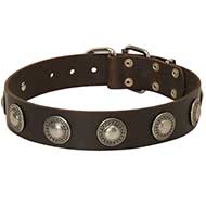 Dog Leather Collar with Embossed Plates