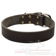 Strong Leather Dog Collar for Agitation Training ⧓