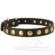 Leather Dog Collar with Wonderful Metal Dots!