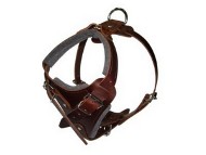 Brown Padded Leather Dog Harness