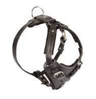 Agitation Attack Leather Dog Harness 2022 ▼