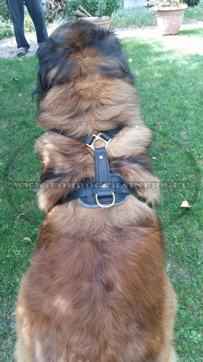 Heavy Duty Dog Pet Harness for Large Dog