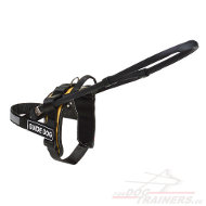 Large Guide Dog Harness with Handle