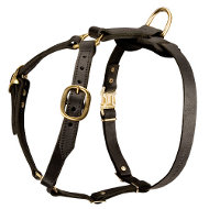 Dog Harness for
Pulling