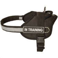 Nylon Training Harness