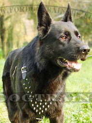 Spiked Dog Harness Special for German Shepherd ✤