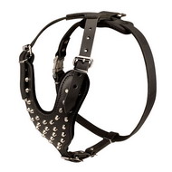 Harness for Stylish Dogs Studded ⓒⓞⓞⓛ