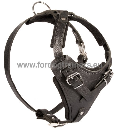 Leather Harness for Dog