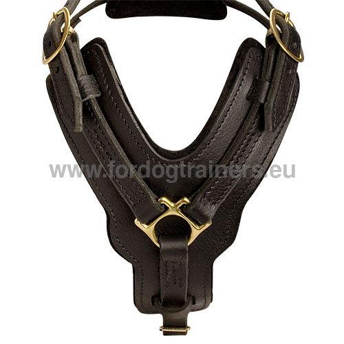 Solid Harness for Big Dog