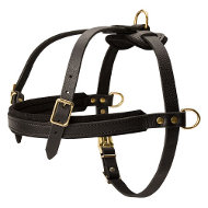 Pulling Dog Harness | Padded Leather Harness ☘