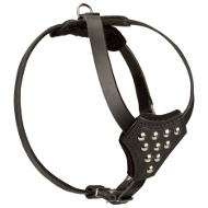 Leather Dog Harness with Studs for Small Dogs ✧