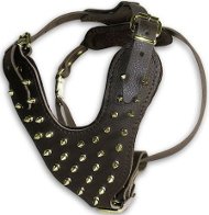 Harness with Spikes for Molossers | Harness for Big Dog ⁂