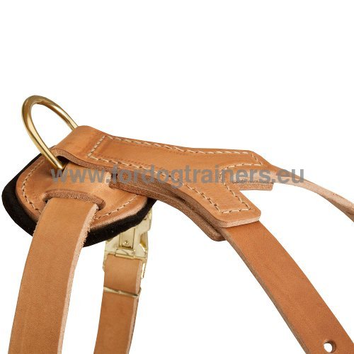 Strong Straps of Dog Harness