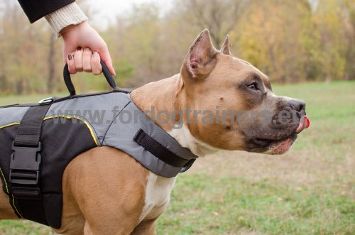 Dog Outdoor Harness Nylon