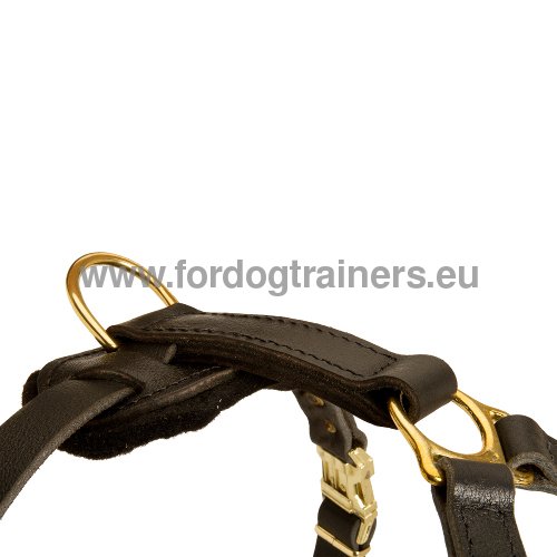Solid Dog Harness in Selected leather