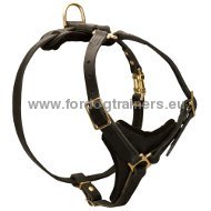 Multifunctional Dog Harness for Tracking ◆