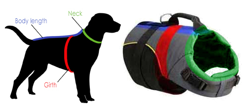 How to measure the dog for a harness