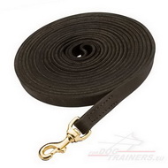 Professional Lead, Long Leather Dog Leash for Large Breeds
