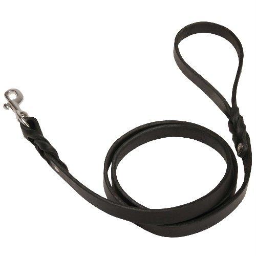 Braided Leash for Dog with Stainless Snap Hook