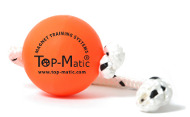 Magnet Dog Training Balls: Fun-Ball Orange