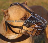 Wire Basket Dog Muzzle for Pitbull ✥