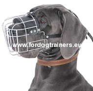 Extra Large Wire Basket Dog Muzzle for Great Dane