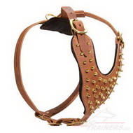Walking Dog Harness Brown with Brass ☀