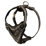 Dog Harness Highest Quality "Barbed Wire" ❣
