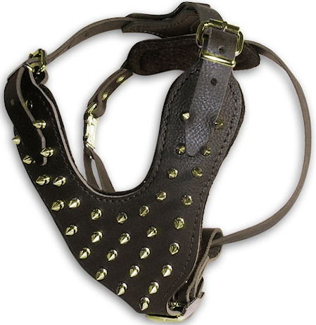 Deluxe Brass leather spiked dog harness for Big Breeds