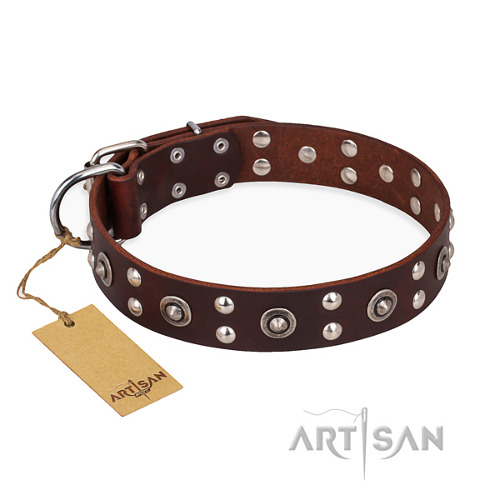 Handcrafted Brown Dog Collar "Pirate Treasure" FDT Artisan