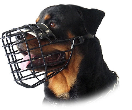 Wire Rubbered Dog Muzzle