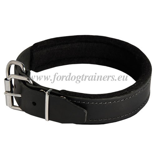 Leather Agitation Collar Padded