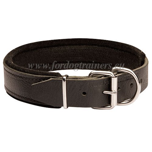 Training Dog Collar for Attack Work