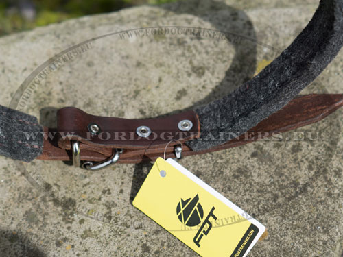 Riveted Dog Collar with Hardware