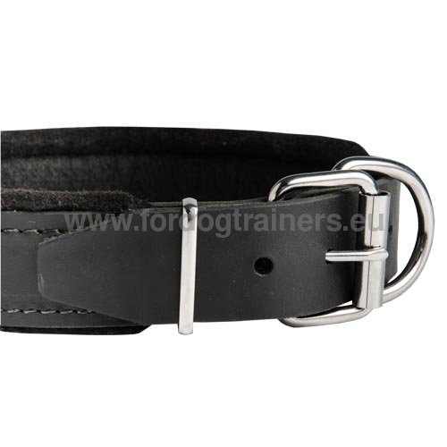 Leather collar with nickel-steel buckle for Pitbull