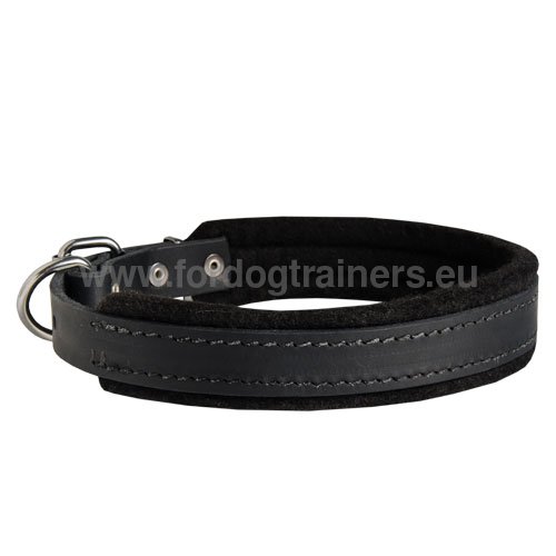 Nice collar padded with felt for Pitbull