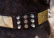 Pitbull Collar Exclusive with Spikes, Pyramids and Plates