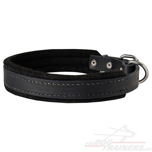 Collier confort en cuir et feutre pour chien