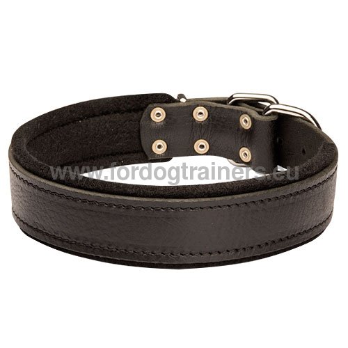 Soft collar with felt lining for Pitbull