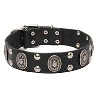 Canine Leather Collar