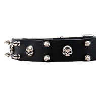 Fancy Leather Dog Collar with Skulls ✴