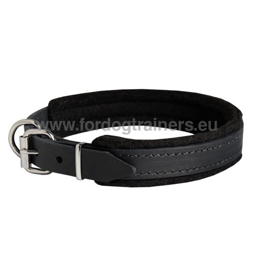 collar for Pitbull reliable control