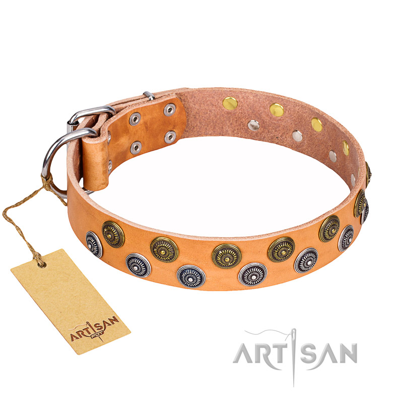 decorative dog collars