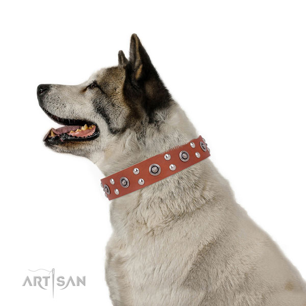 Leather Dog Collars with Studs for Akita