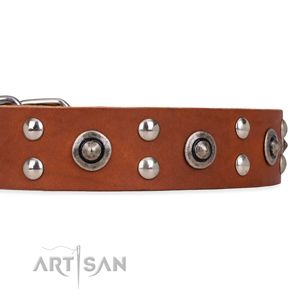 Fancy Dog Collars Handmade