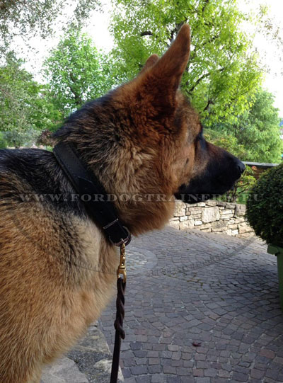 Leather Dog Collars for German Shepherds Handmade