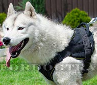 Multifunctional Dog Harness for Husky Nylon Resistant ❺